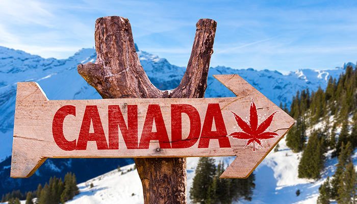 Move to Canada in 2023: Jobs, Study & Tourism
